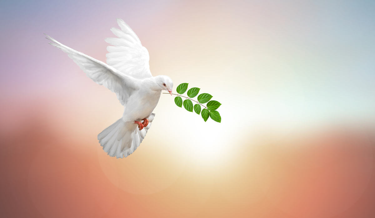 The Concept of Peace in the View of Islam
