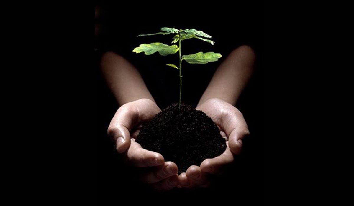 Kinds of Az-Zakat and Charities… When Islam Grants Its Individuals Good Living