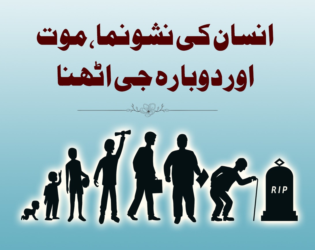 انسان کی نشونما،موت اور دوبارہ جی اٹھنا