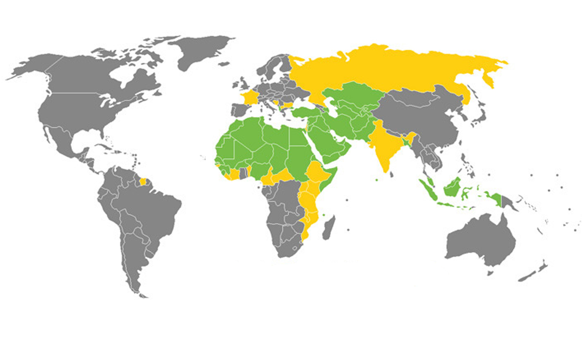 ما يملكه المسلمون !!!