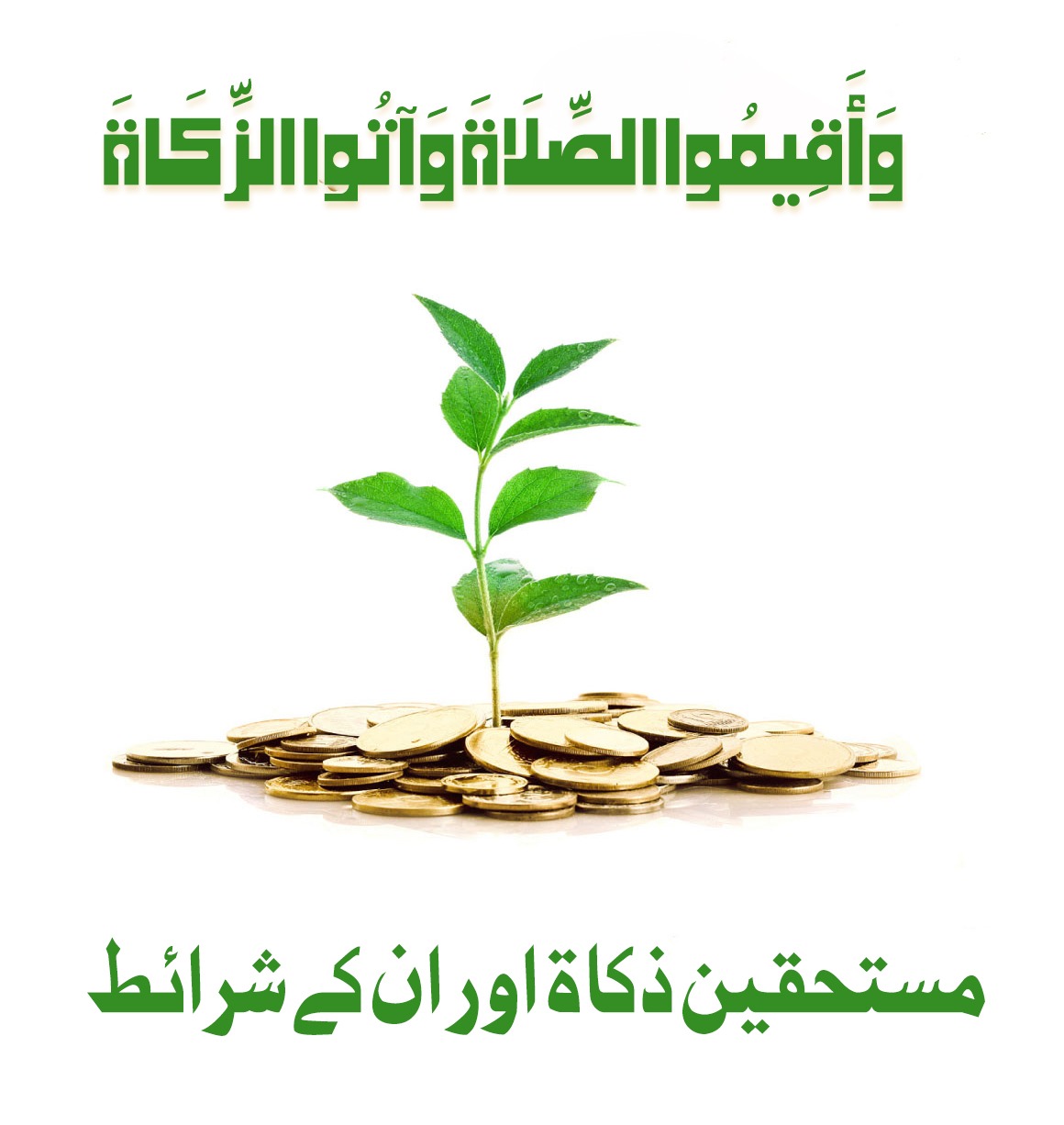 مستحقین ذکاۃ اور ان کے شرائظ