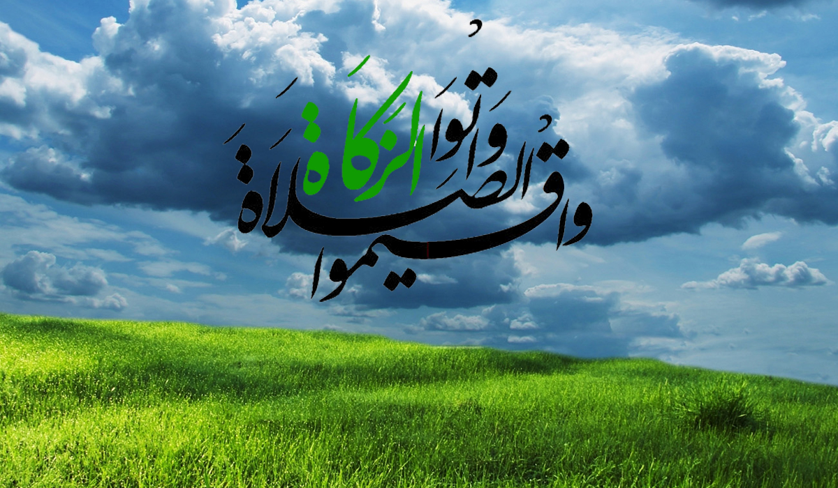 زکات