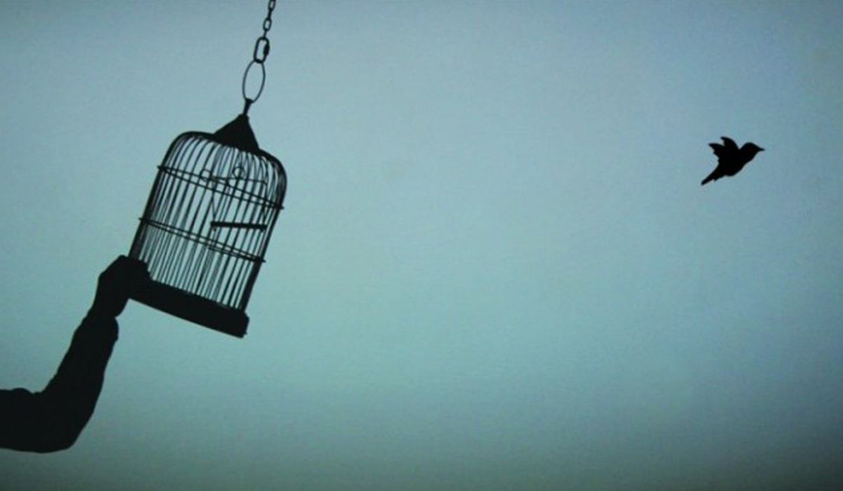 حق إبداء الرأي