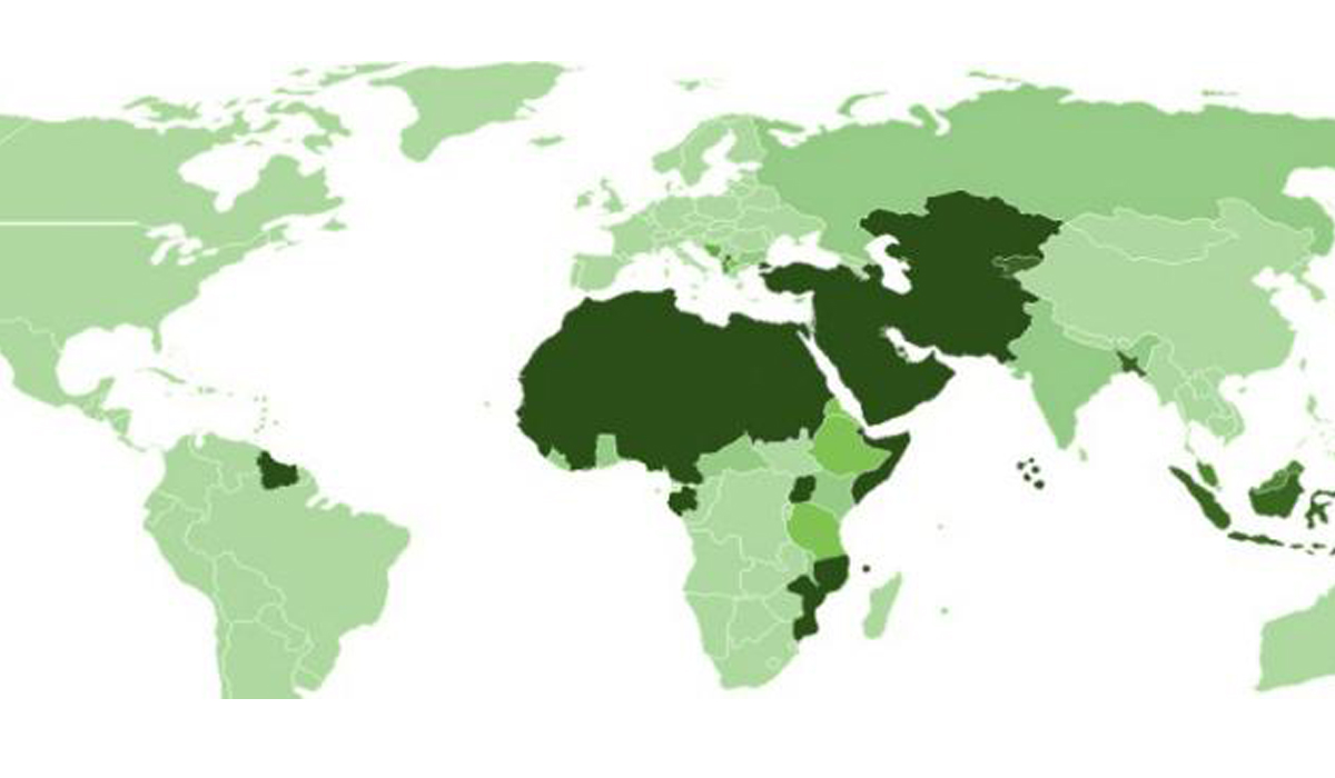 ريادة العالم الإسلامي في الإنتاج الزراعي