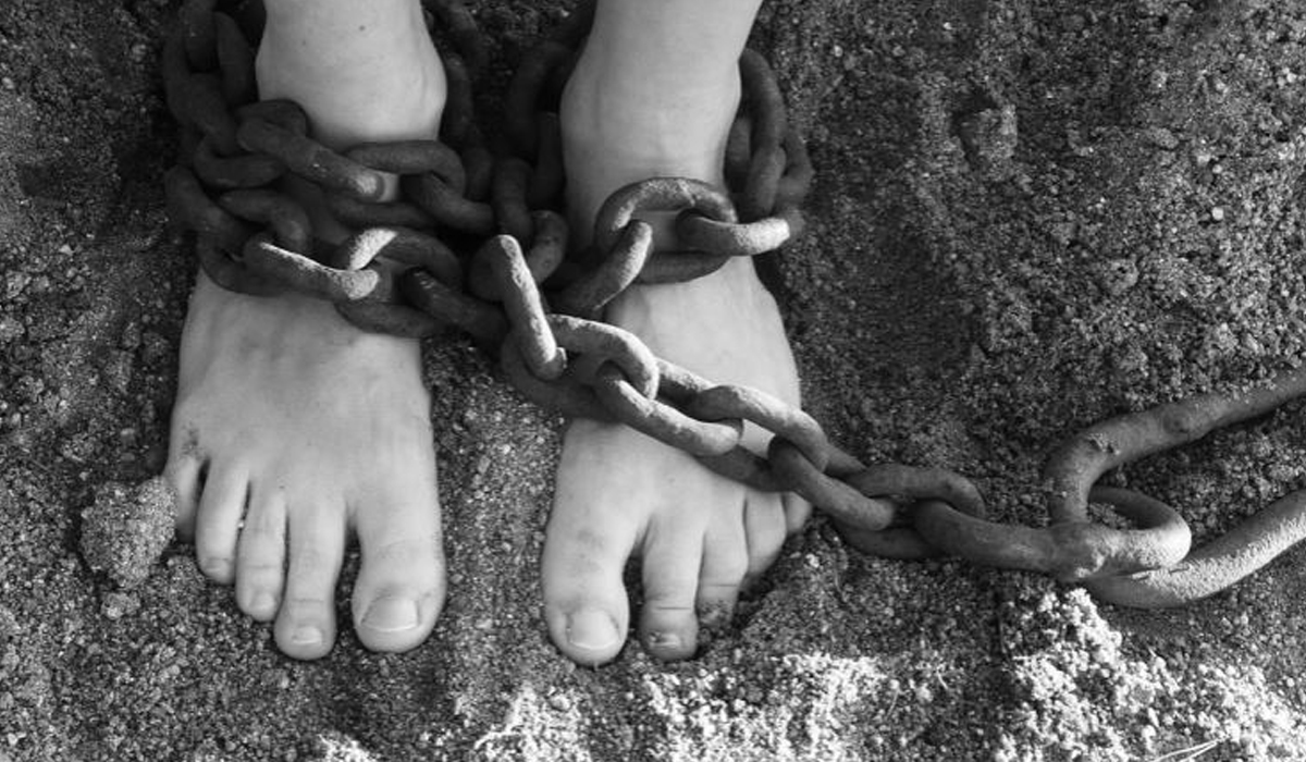 رعاية الأسير في الإسلام... المنهج العلوي إنموذجا