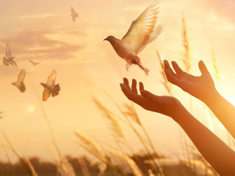 الإسلام؛ سماحة وسلام