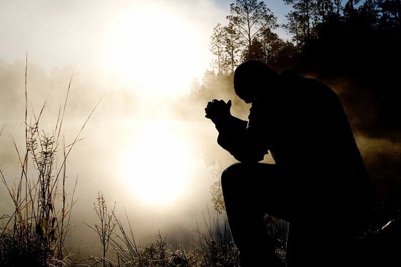 شهادات الأقران: ليسوا فلاسفة.. إنهم حفنة مهرجين