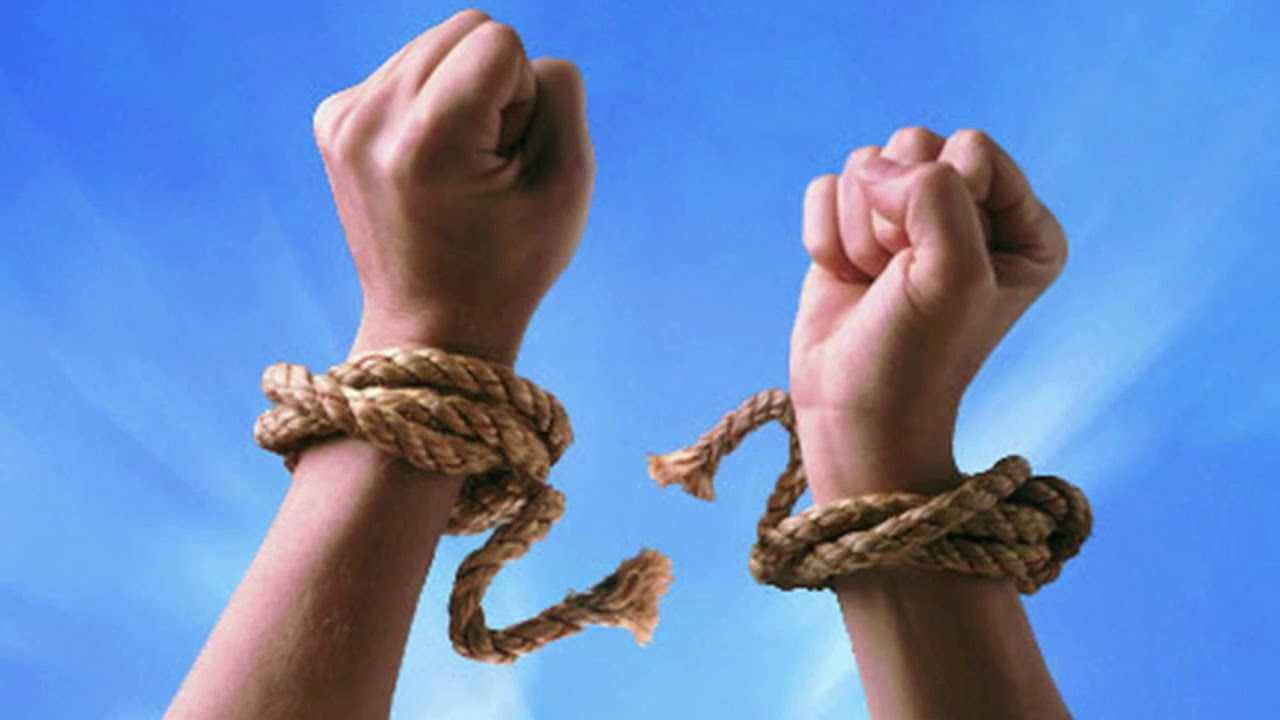 إشكالية الحرية: رؤية إسلامية مقابل الحتمية البيولوجية