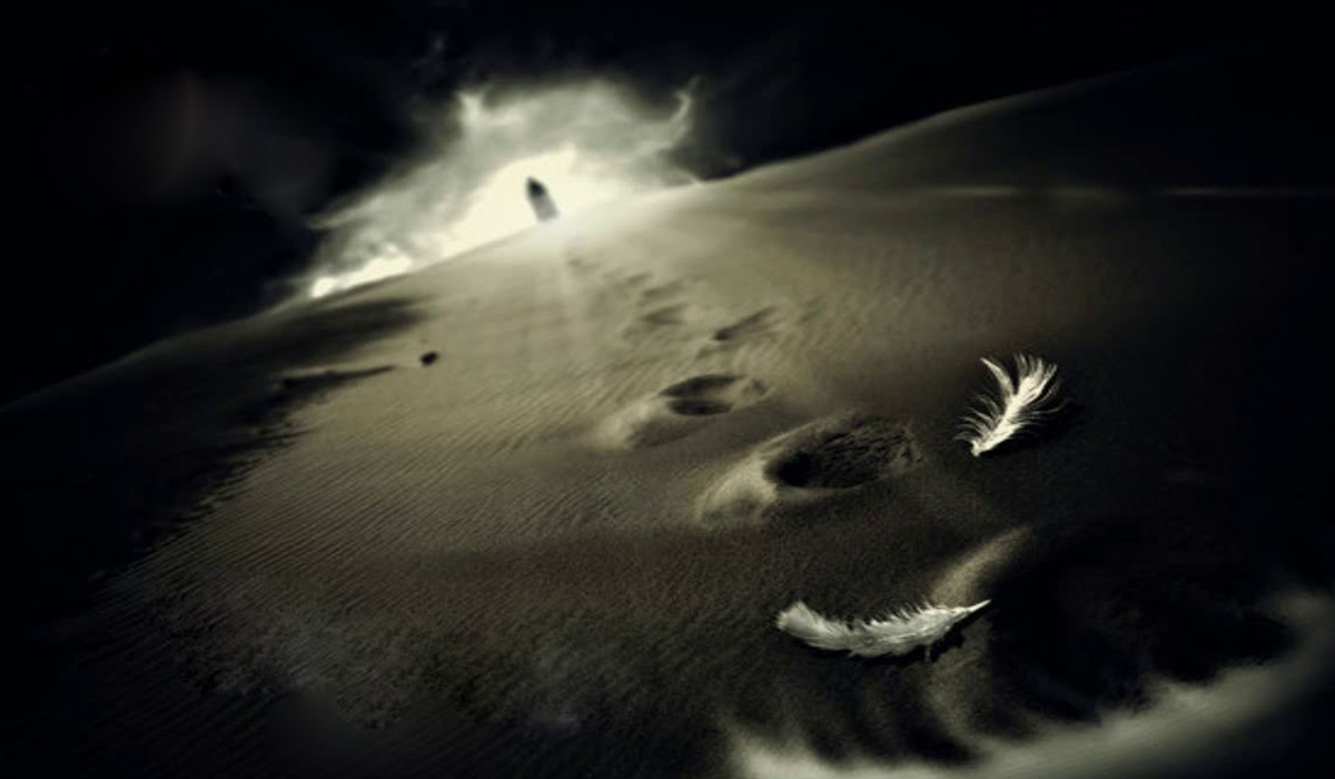 محمد القائد